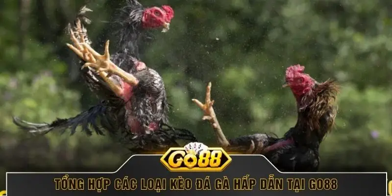 Tổng hợp các loại kèo đá gà hấp dẫn tại GO88