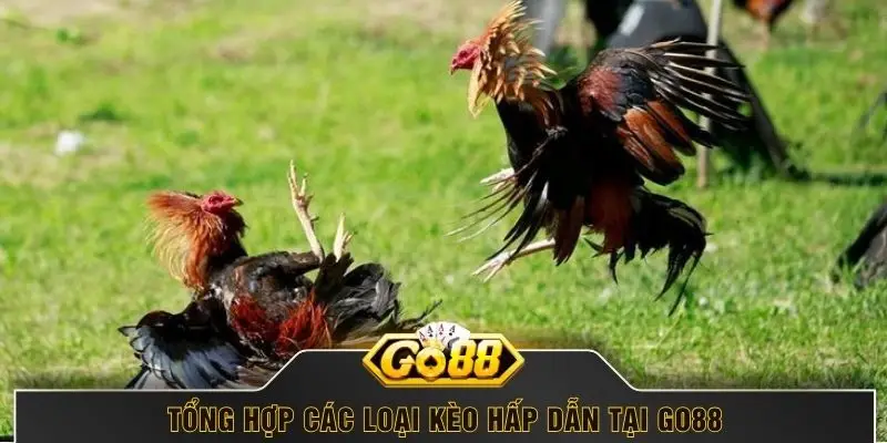 Tổng hợp các loại kèo hấp dẫn tại Go88